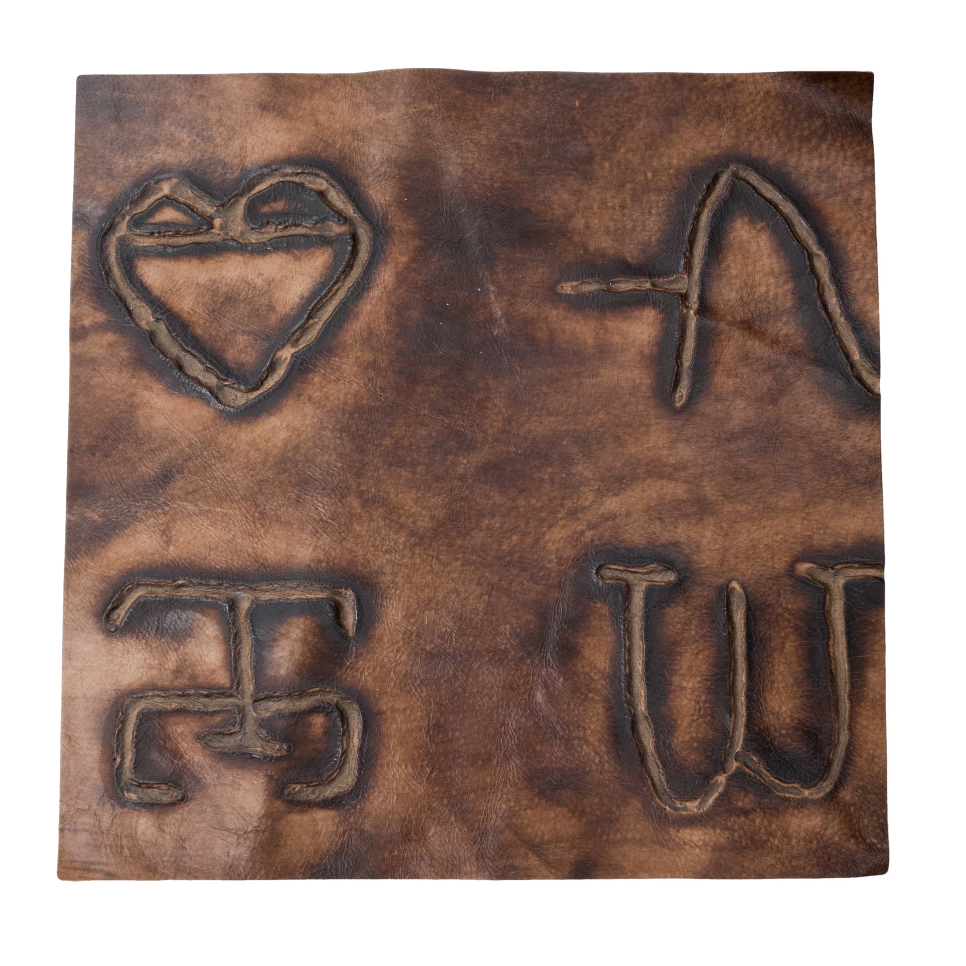 Embossed Branded Cowhide Leather Precuts, 12 x 12 / 5 | The Leather Guy