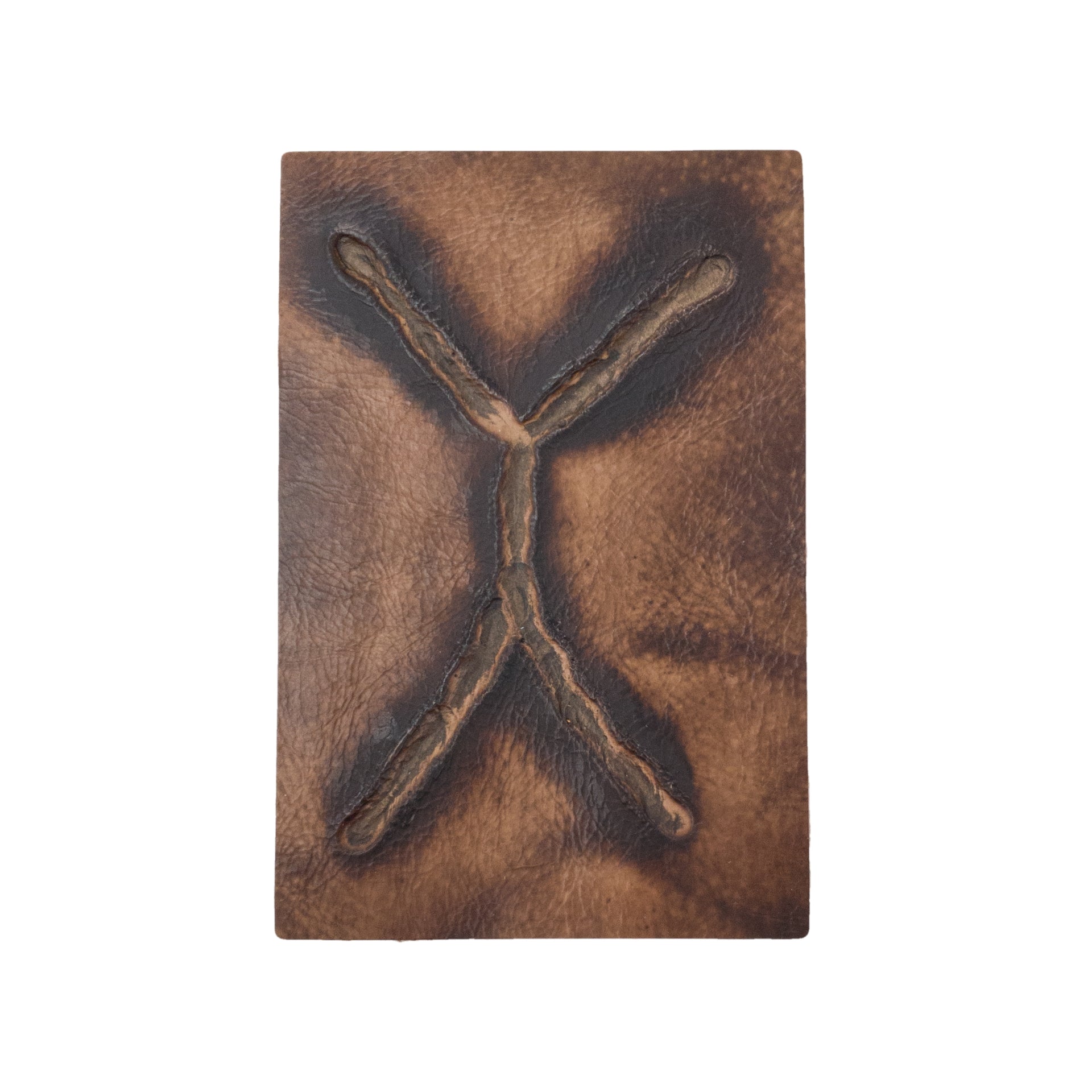 Embossed Branded Cowhide Leather Precuts, 4 x 6 / 7 | The Leather Guy