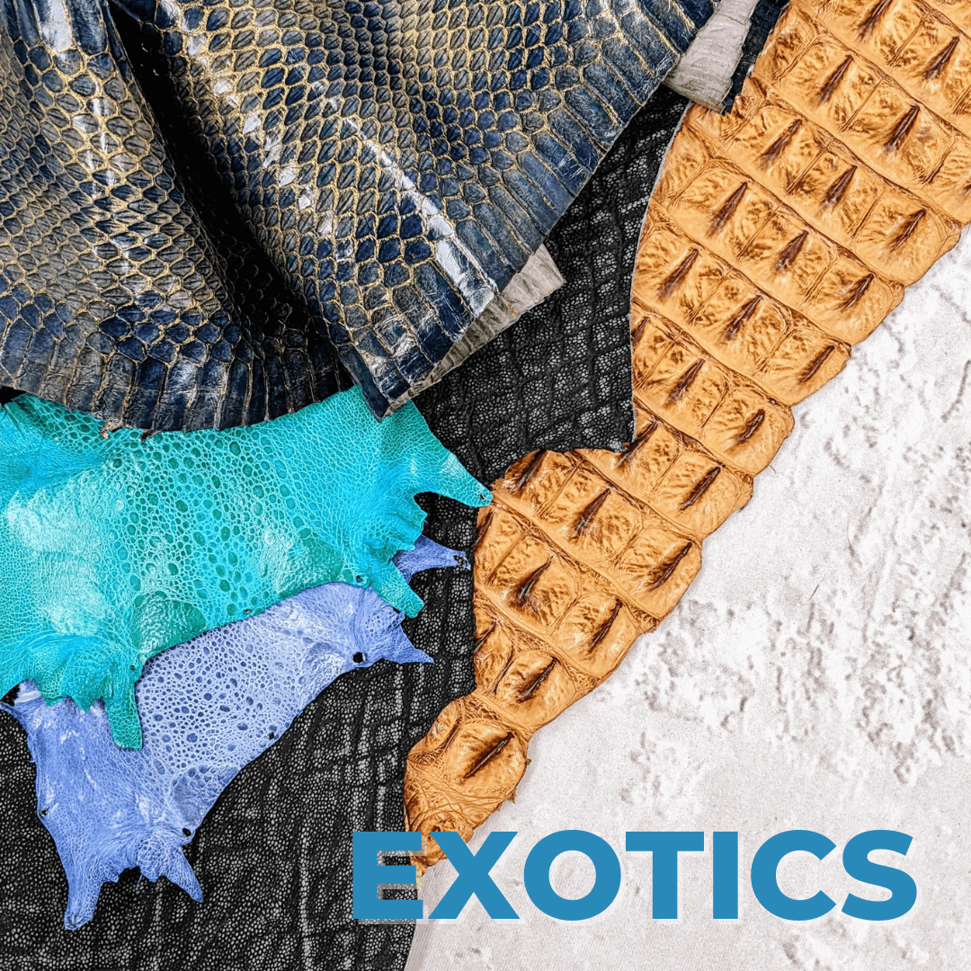 Exotic Leather