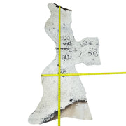 Spotted, 2-20 Sq Ft Hair-on Cowhide Project Pieces, 9 / 2 | The Leather Guy