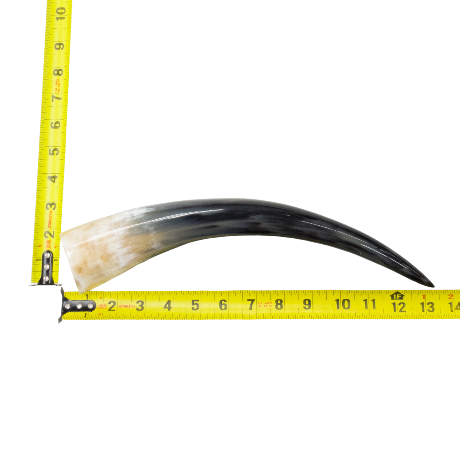13" - 17" Single Polished Cow Horns, 10 (13") | The Leather Guy