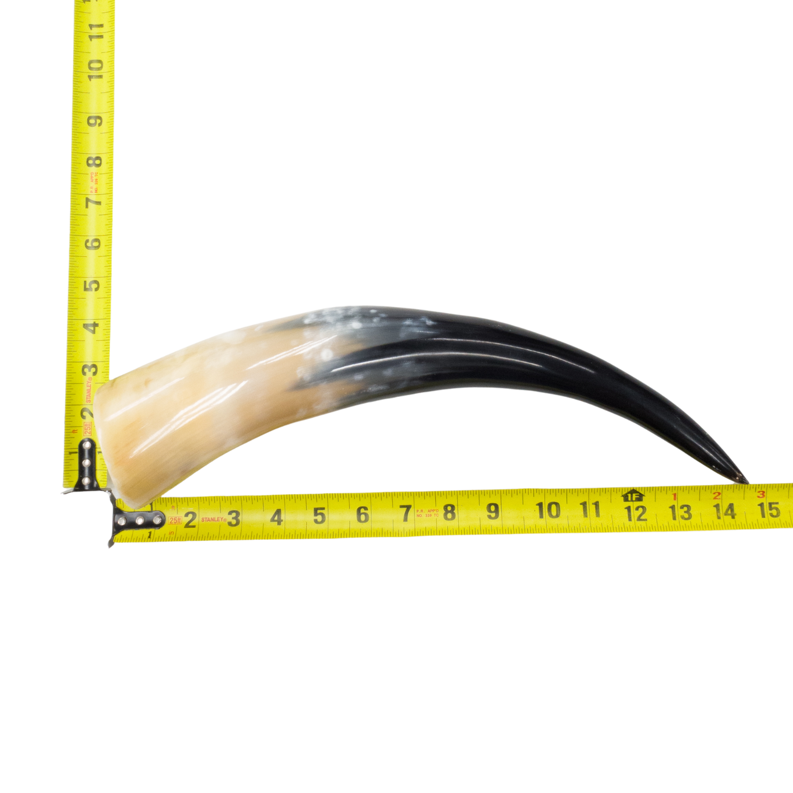 13" - 17" Single Polished Cow Horns, 2 (18") | The Leather Guy