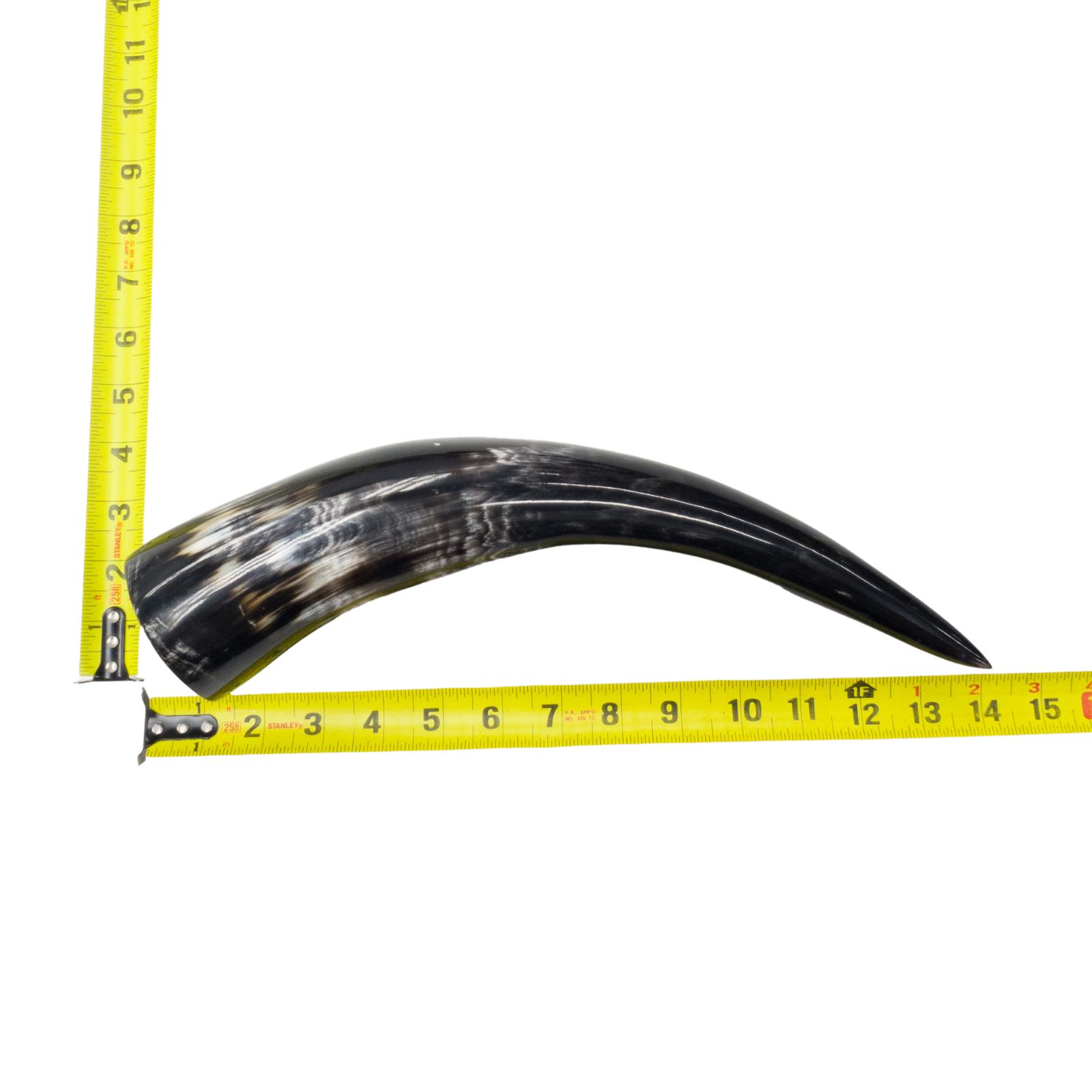 13" - 17" Single Polished Cow Horns, 22 (14") | The Leather Guy