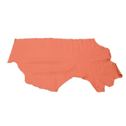Hawaii Coral Reef Tried n True 3-4 oz Leather Cow Hides, 6.5-7.5 Square Foot / Project Piece (Bottom) | The Leather Guy