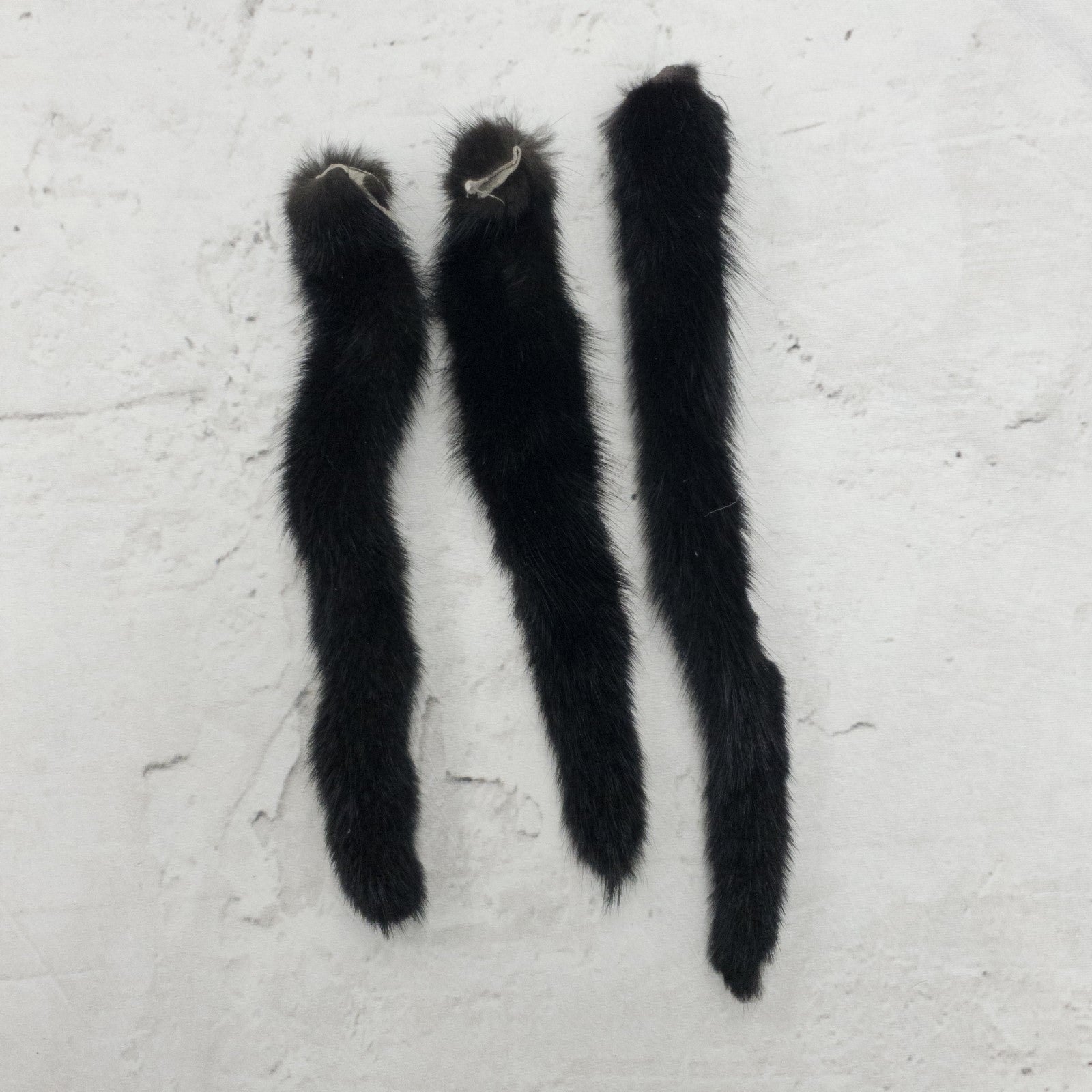 Genuine Small to Medium Animal Fur Tails, Black Mink / With Pin | The Leather Guy