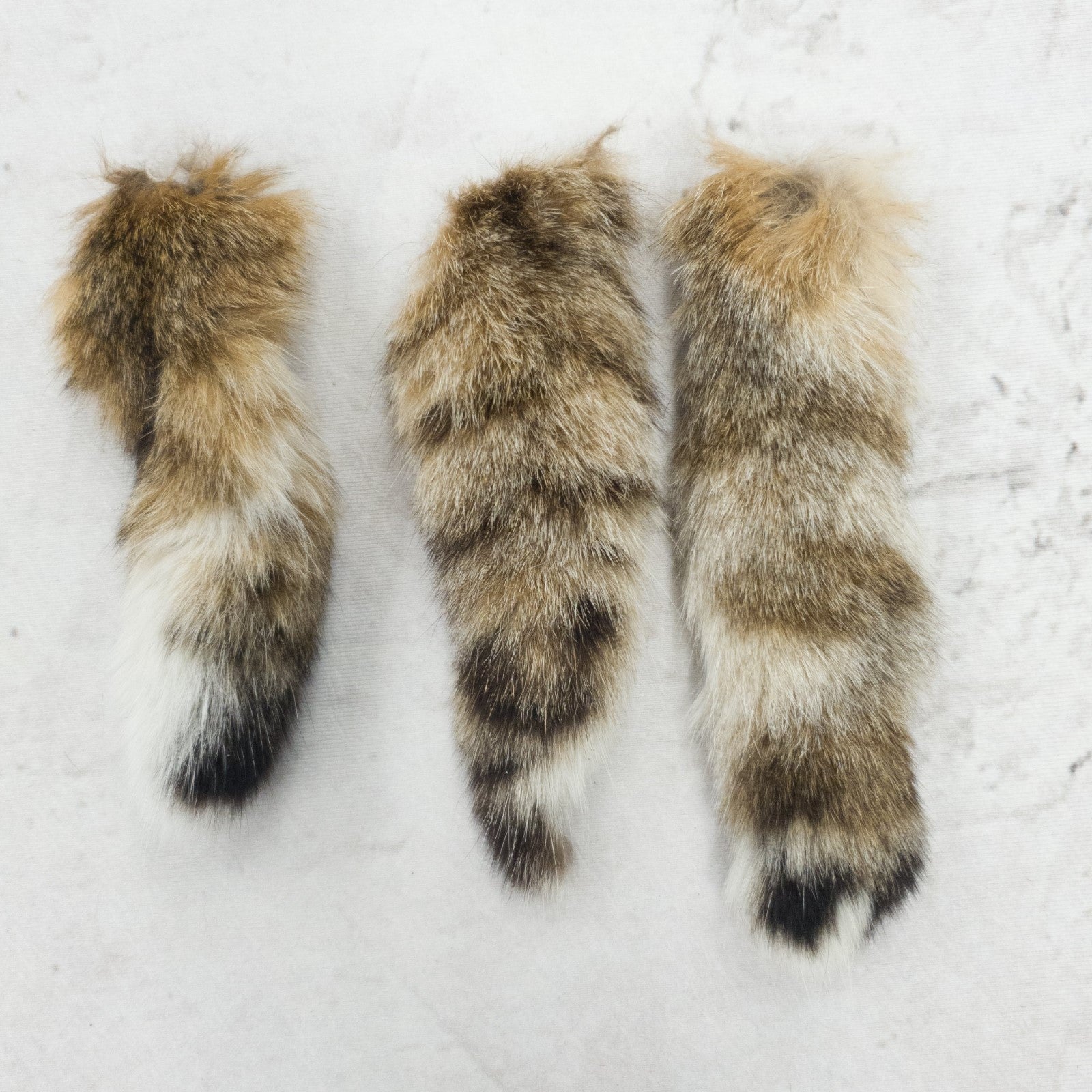 Genuine Small to Medium Animal Fur Tails, Bobcat / With Pin | The Leather Guy
