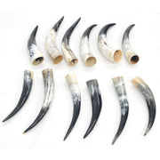 13" - 17" Singles & Packs Polished Cow Horns,  | The Leather Guy