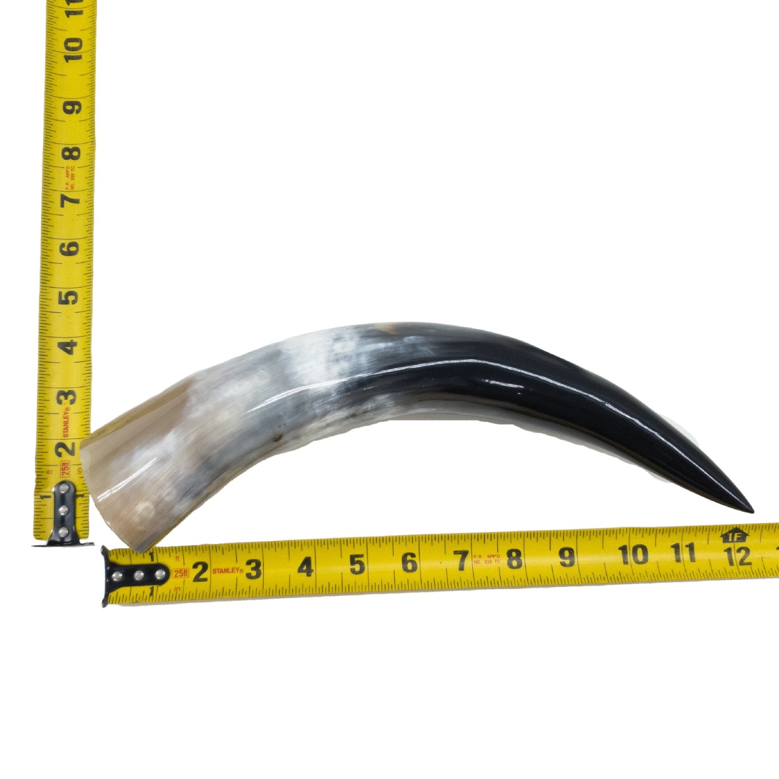 10" - 12" Single Polished Cow Horns, 26 (12") | The Leather Guy