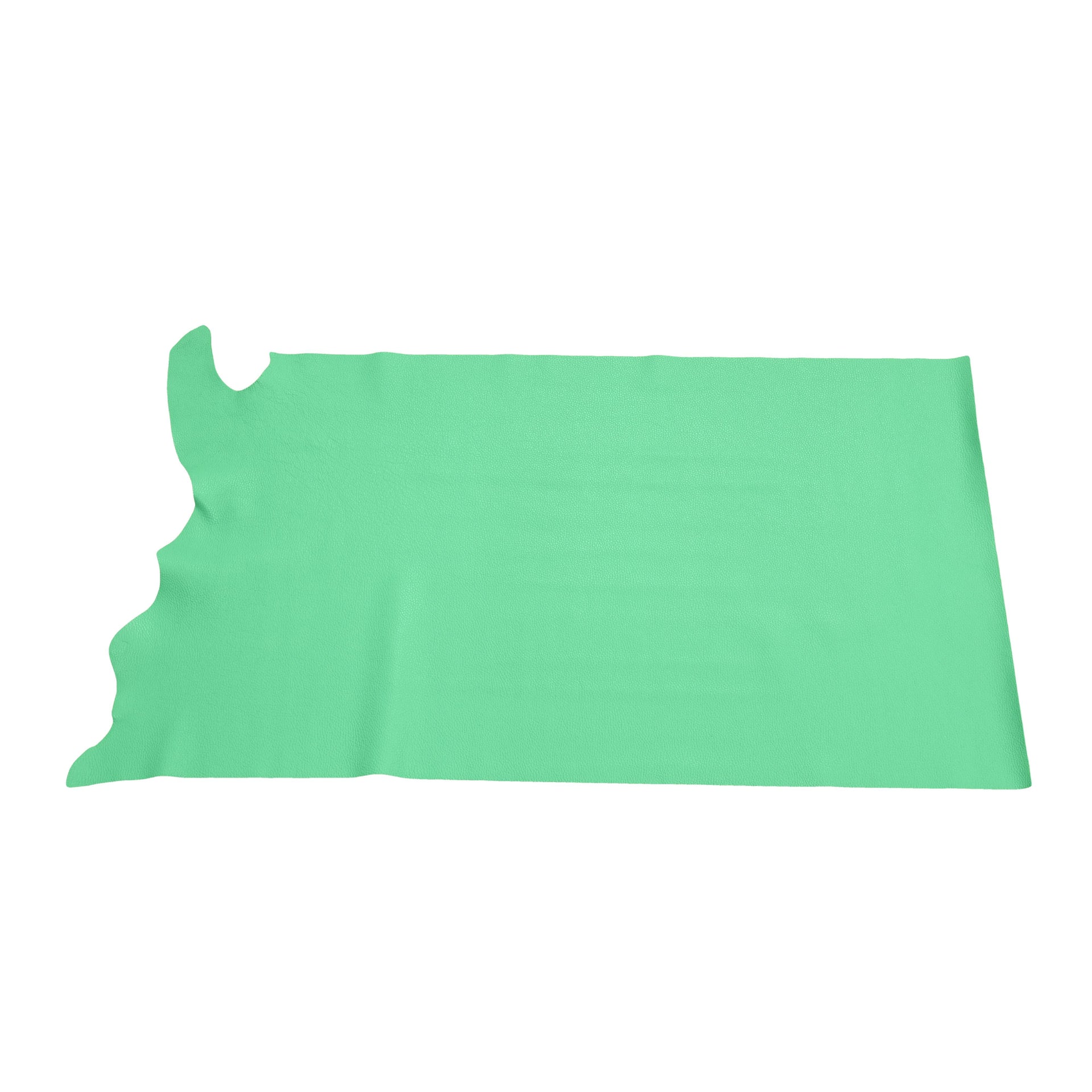 Emerald Green Coast Tried n True 3-4 oz Leather Cow Hides, 6.5-7.5 Square Foot / Project Piece (Middle) | The Leather Guy