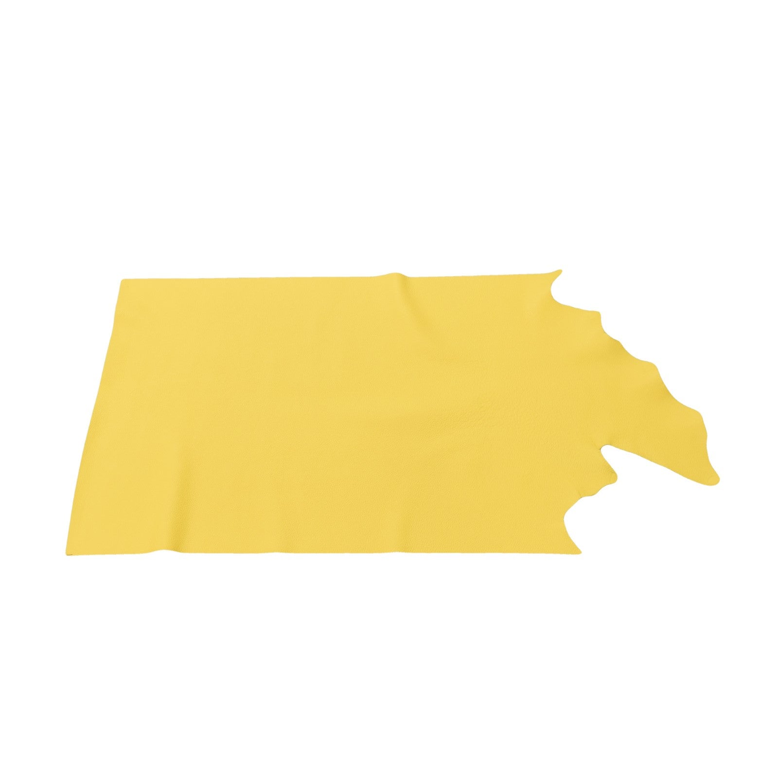 Hawkeye Yellow, 3-4 oz Cow Hides, Tried n True, 6.5-7.5 Square Foot / Project Piece (Middle) | The Leather Guy