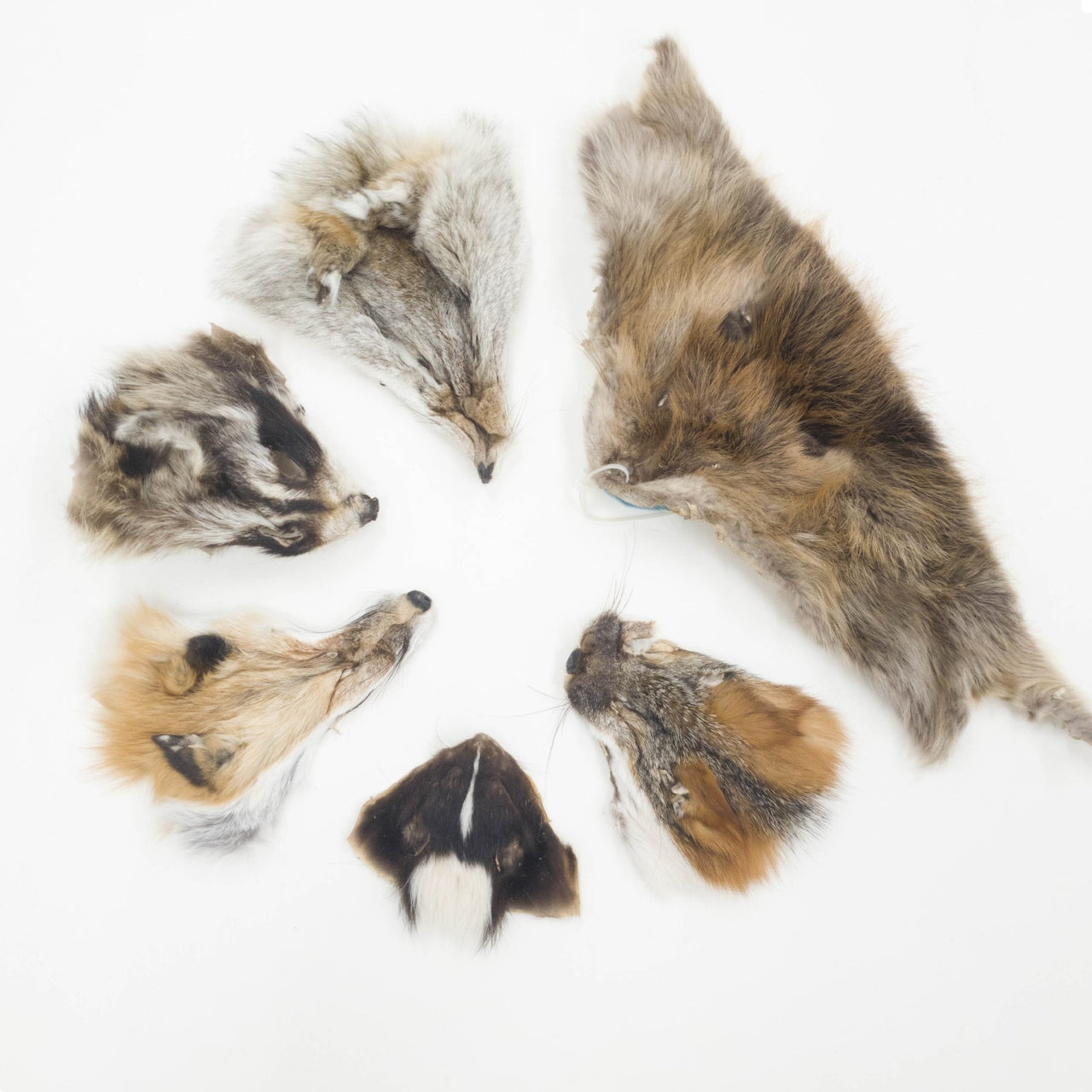 Retired Craft Grade Fur Face Remnants | Genuine Fur Craft Pieces, 6 Pack | The Leather Guy