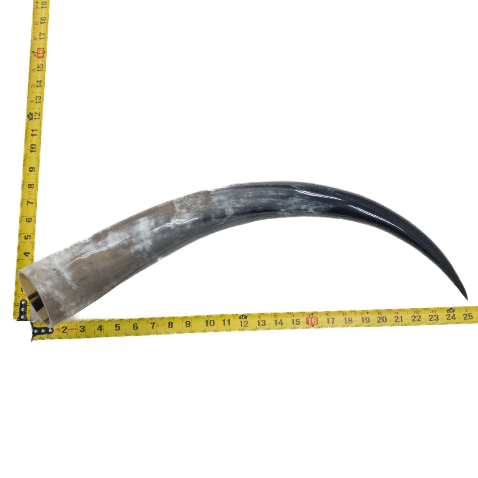24" - 30" Single Polished Cow Horns, 15 (25") | The Leather Guy