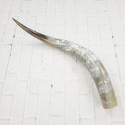 24" - 30" Singles & Packs Polished Cow Horns, Singles | The Leather Guy