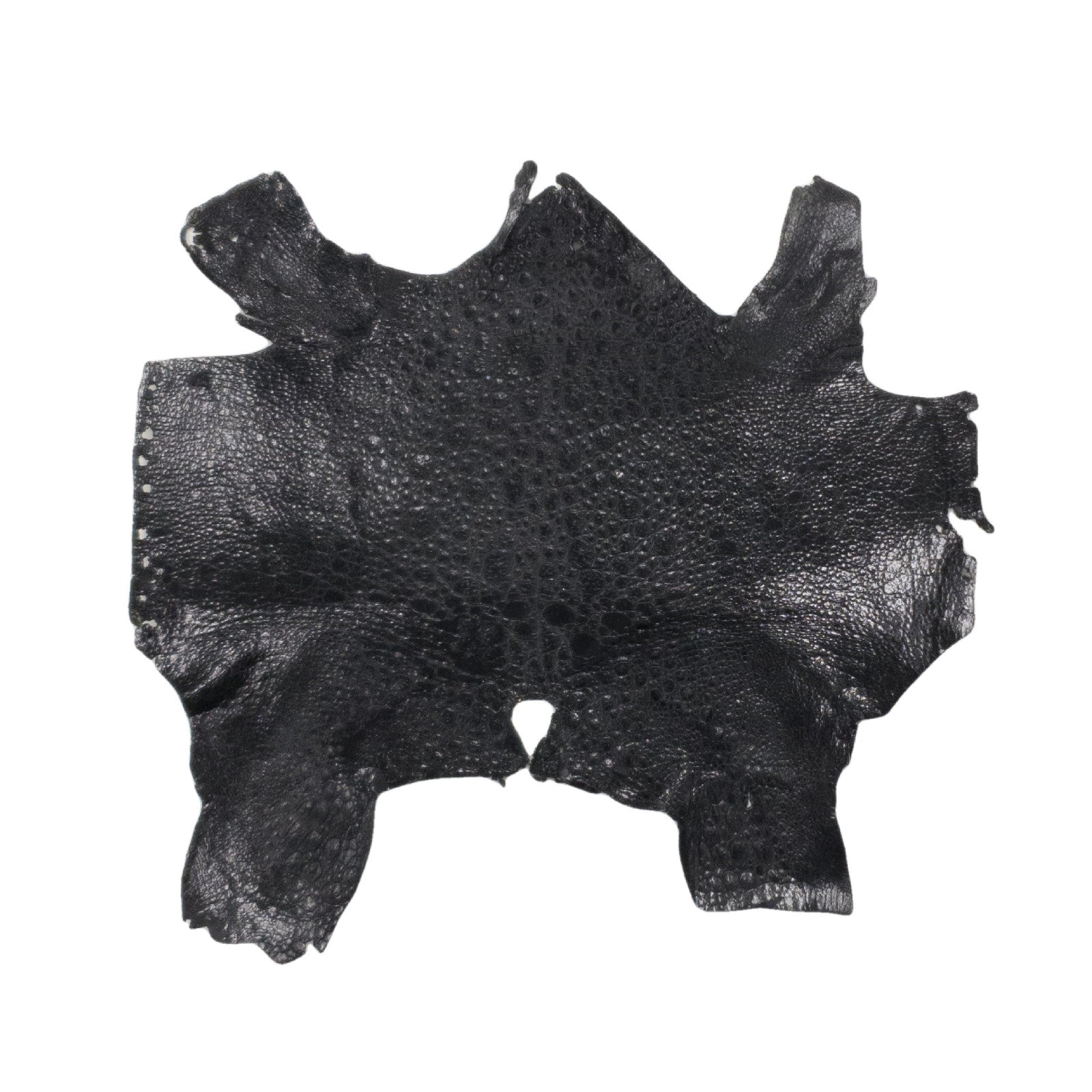 Cane Toads/Frog Skins, 3-4" x 5-6", 1 - 1 1/2 oz, Volcanic Black | The Leather Guy