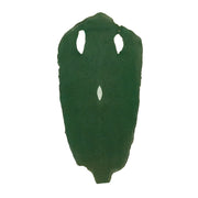 Large Stingray Skins, 24" x 11", 3-4 oz, Dark Seaweed Green | The Leather Guy