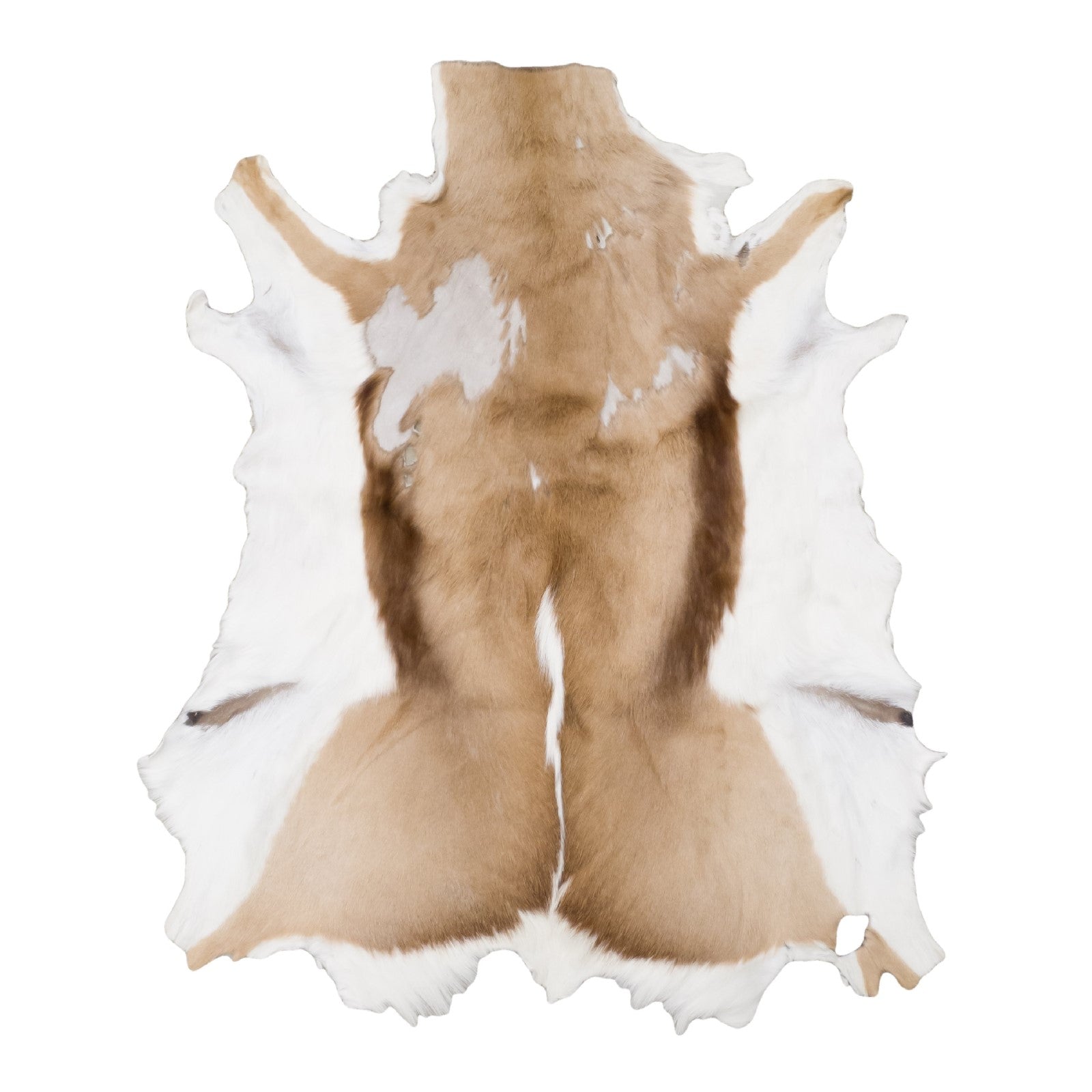 Natural, Springbok Hair-on Hides, Craft | The Leather Guy