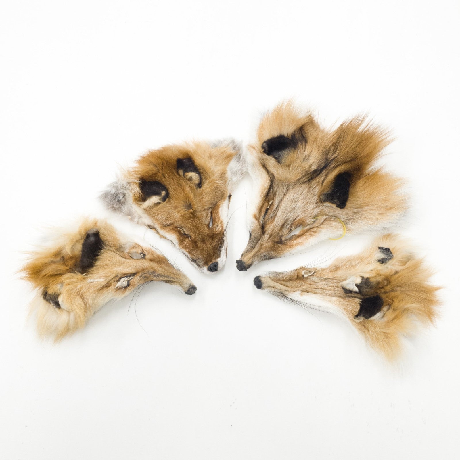 Craft Grade Fur Face Remnants, Red Fox | The Leather Guy