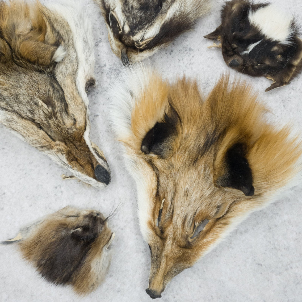 Retired Craft Grade Fur Face Remnants | Genuine Fur Craft Pieces, | The Leather Guy