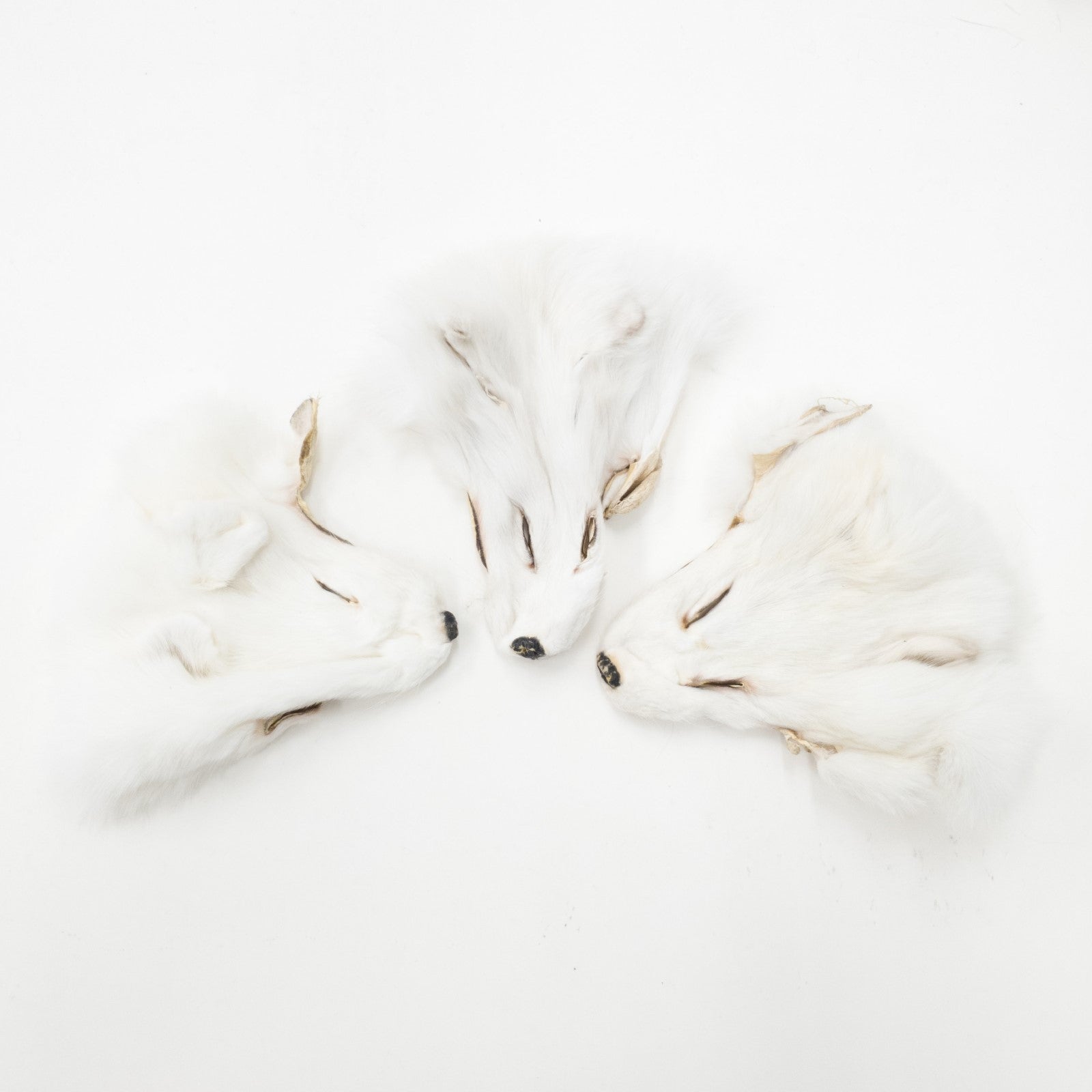 Craft Grade Fur Face Remnants, Arctic Fox | The Leather Guy