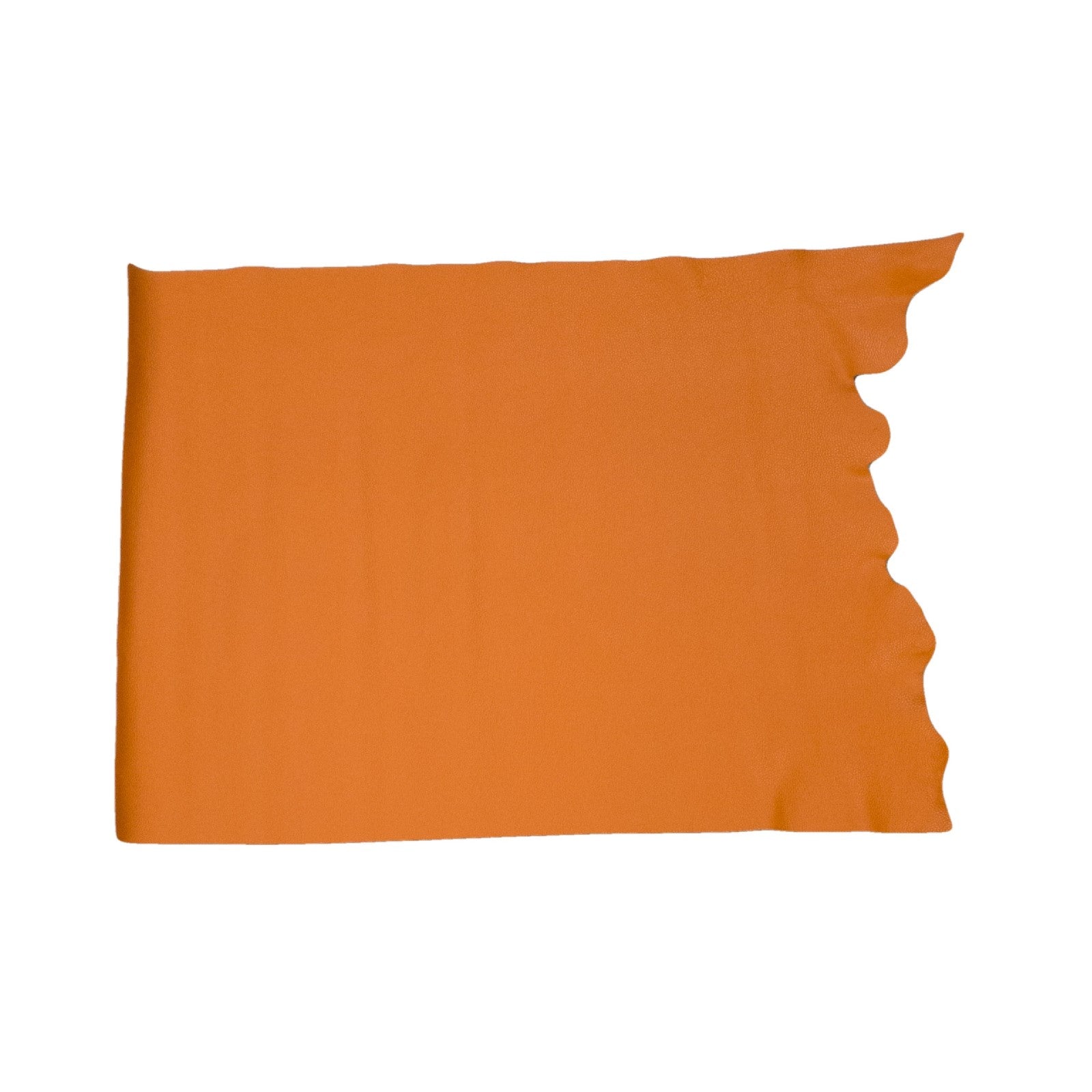 Valencia Orange, 3-4 oz Cow Hides, Tried n True, Middle Piece / 6.5-7.5 Square Foot | The Leather Guy