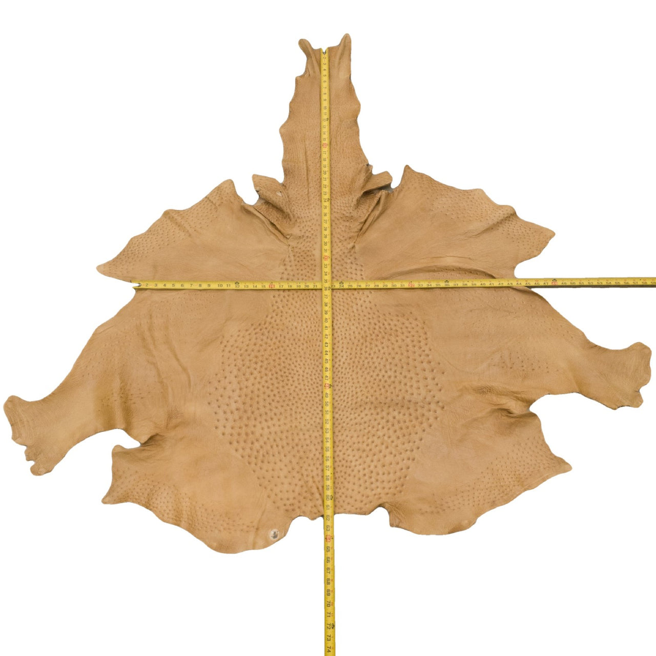 Genuine Ostrich Leather Full Hide, 18 Sq Ft Average, 13 oz. The