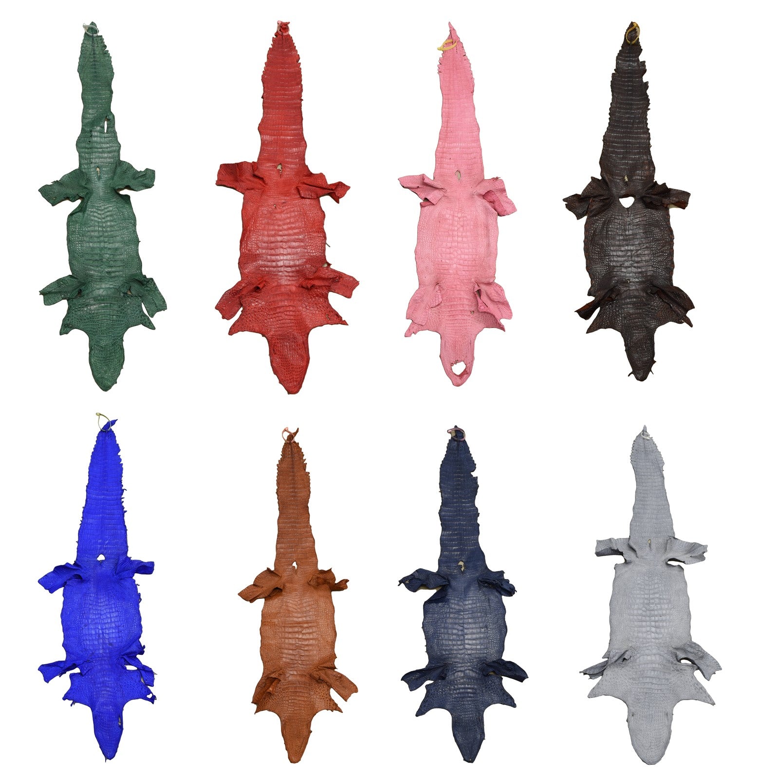 Alligator Skin Flank Various Colors Genuine Hide