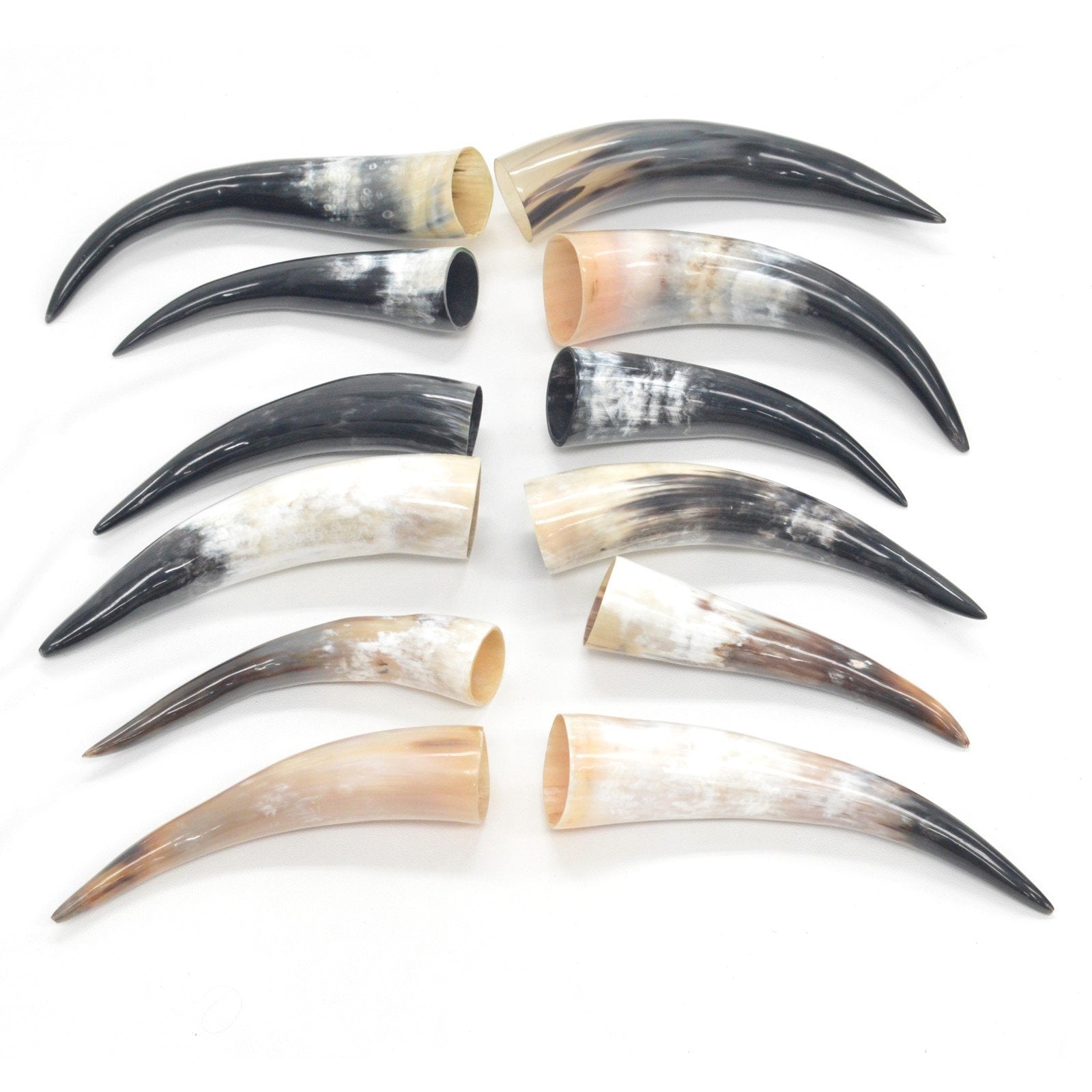 10" - 12" Singles & Packs Polished Cow Horns,  | The Leather Guy