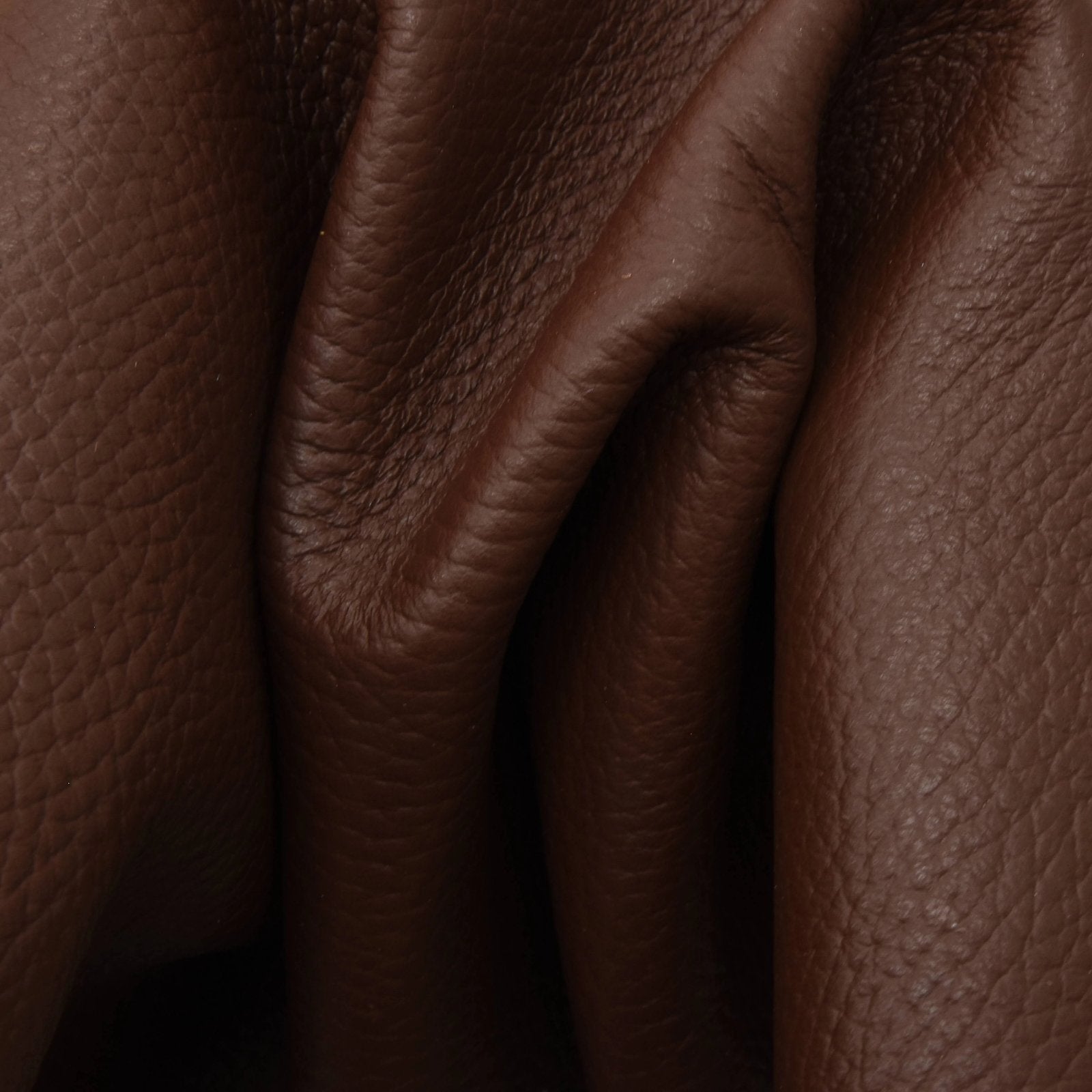 MEISTER SHEET【LEATHER】【箔】BROWN Amazon.com: Moonster Genuine