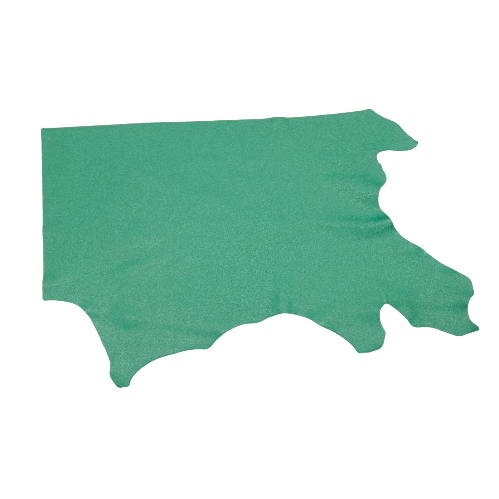Wisconsin Bay Green, Tried n True, 3-4 oz Leather Cow Hides, 6.5-7.5 Square Foot / Project Piece (Bottom) | The Leather Guy