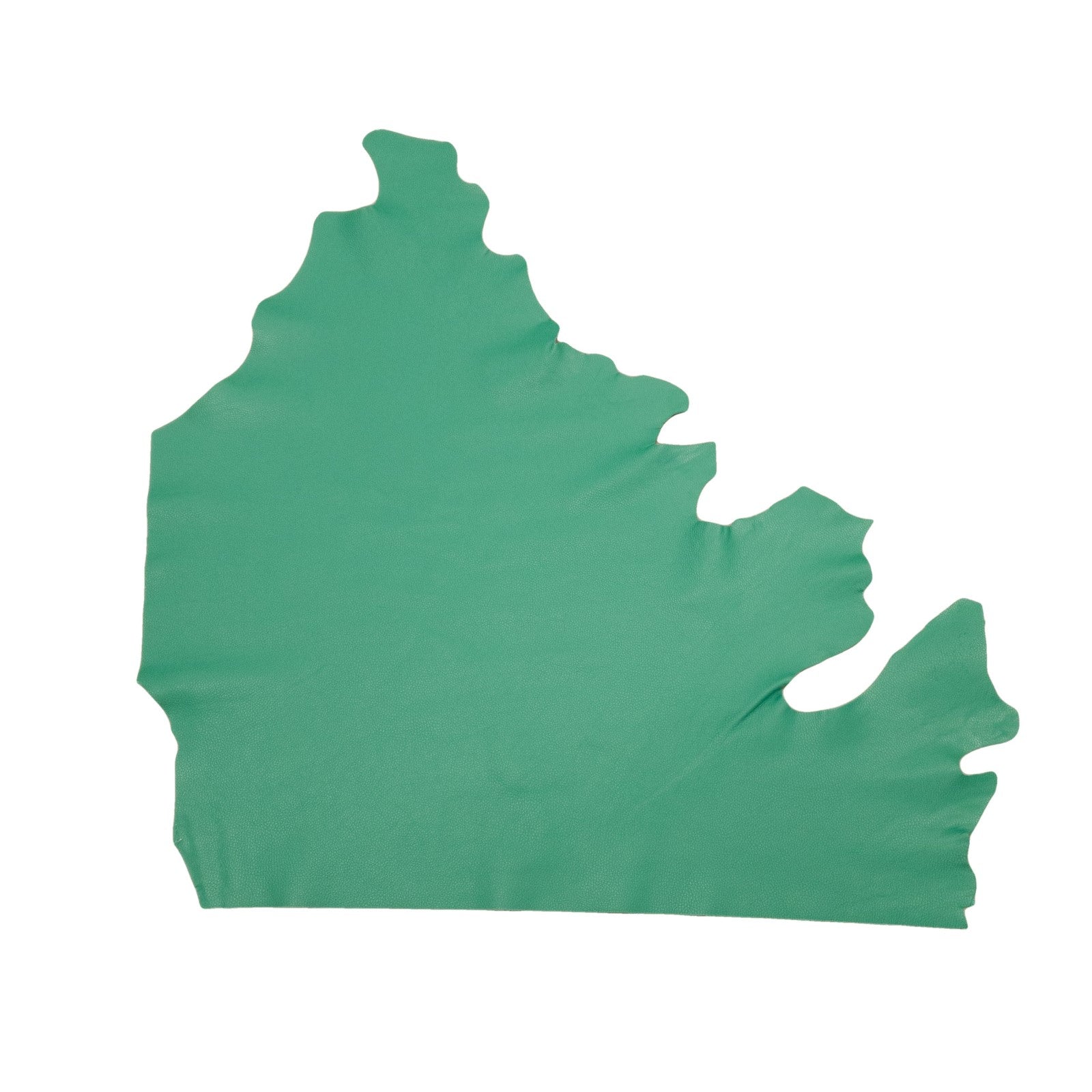 Wisconsin Bay Green, Tried n True, 3-4 oz Leather Cow Hides, 6.5-7.5 Square Foot / Project Piece (Top) | The Leather Guy
