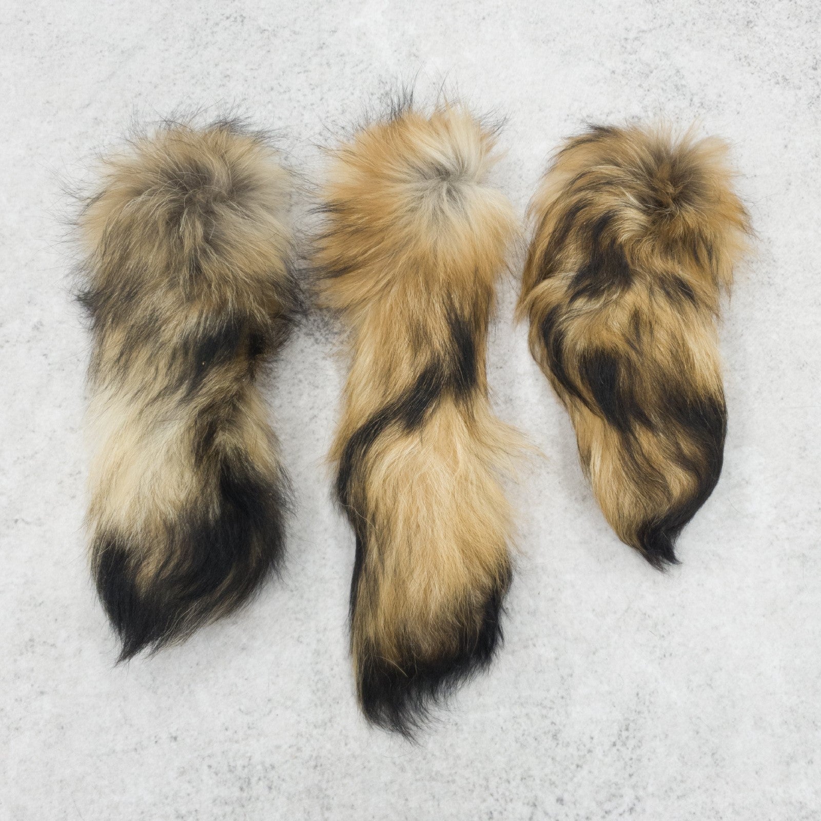 Genuine Small to Medium Animal Fur Tails, Asian Raccoon / With Pin | The Leather Guy