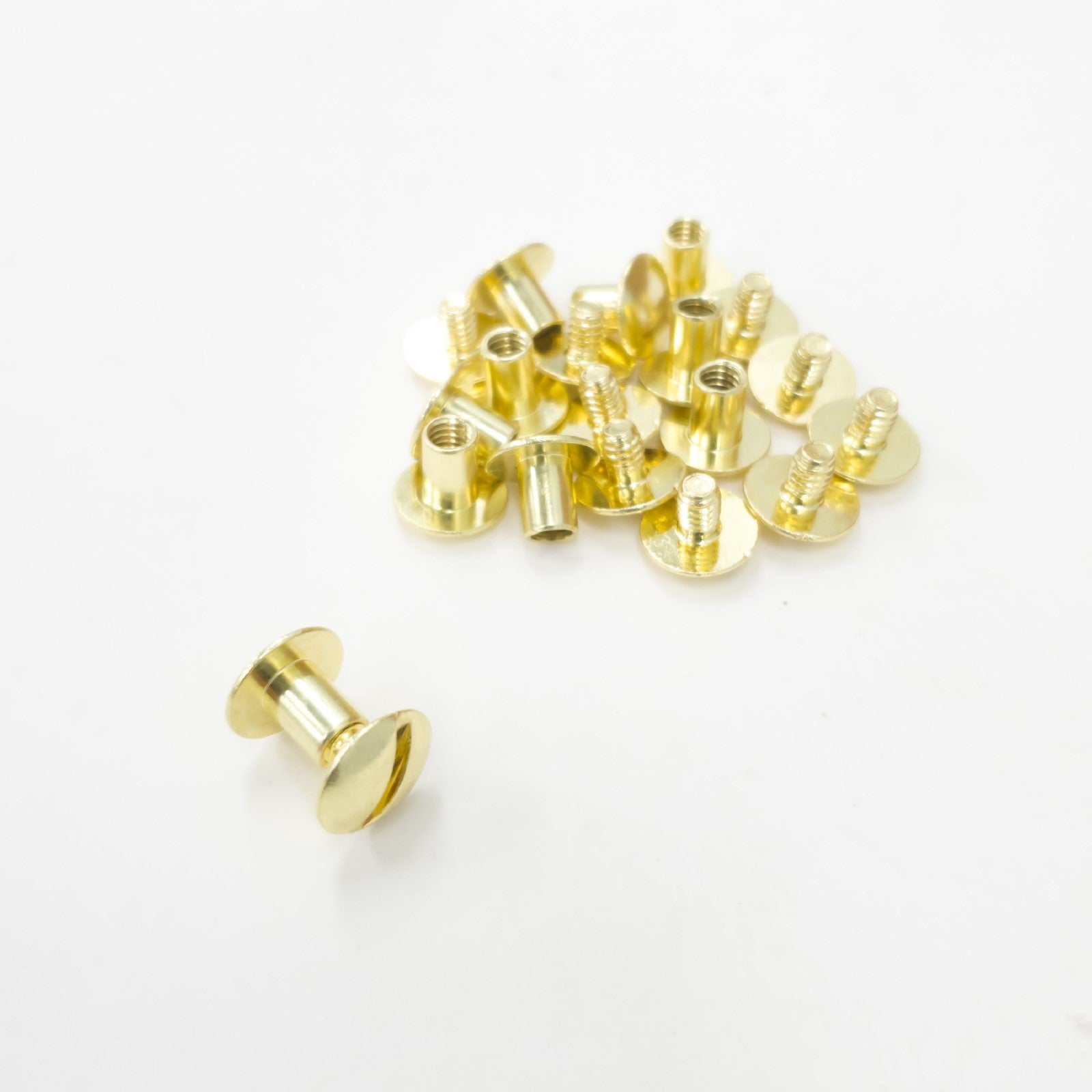 Chicago Screws, 6 mm/ 1/4", 10 Pack, Brass | The Leather Guy