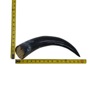 13" - 17" Single Polished Cow Horns, 13 (15") | The Leather Guy