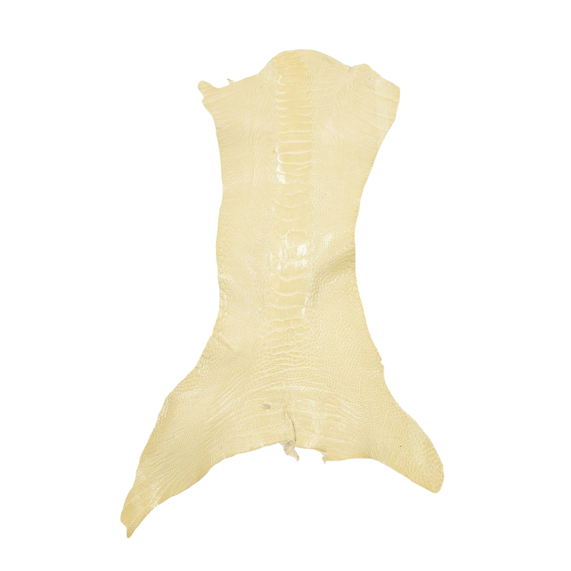 Ostrich Leg Skins, 12"-16", 2-3 oz, Glazed, Blanched Almond Cream | The Leather Guy