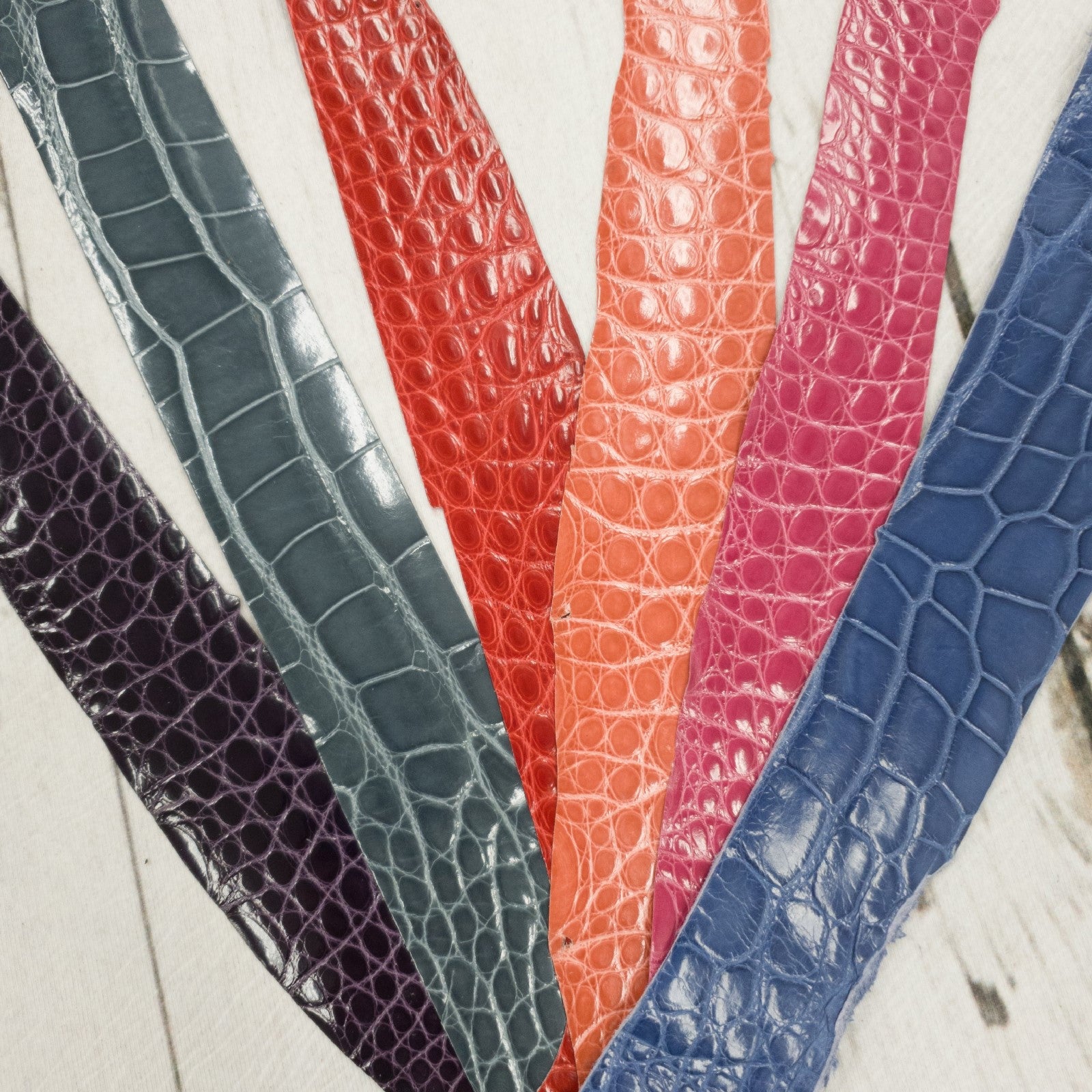 Alligator Skin Pieces Various Colors Genuine Hide,  | The Leather Guy