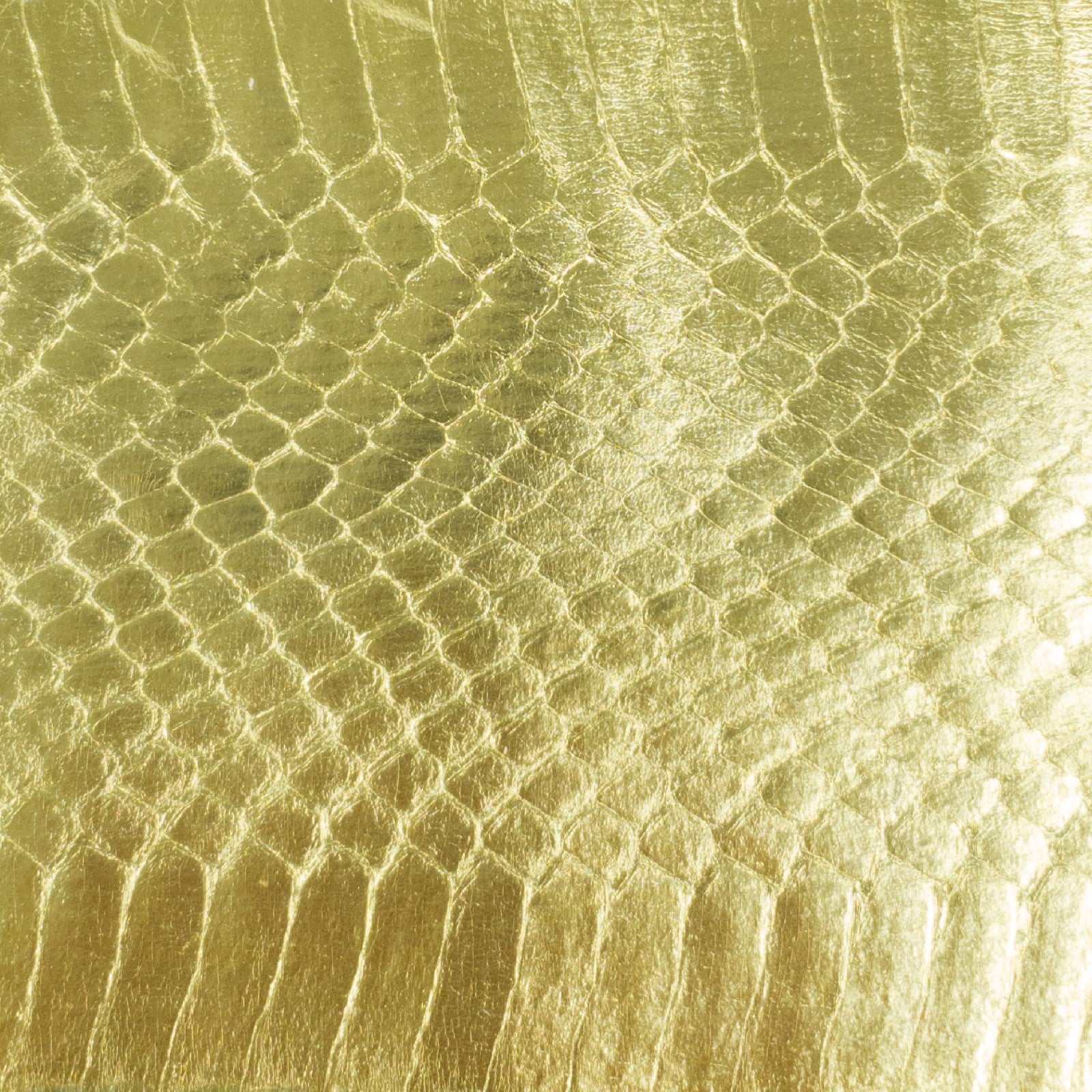 Snakeskin -  - The Leather Dictionary