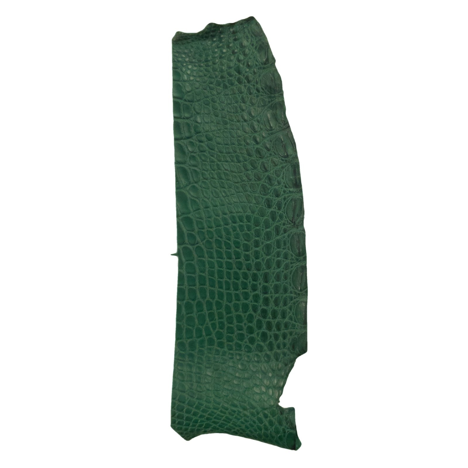 Alligator Skin Flank Various Colors Genuine Hide, Pine Green | The Leather Guy
