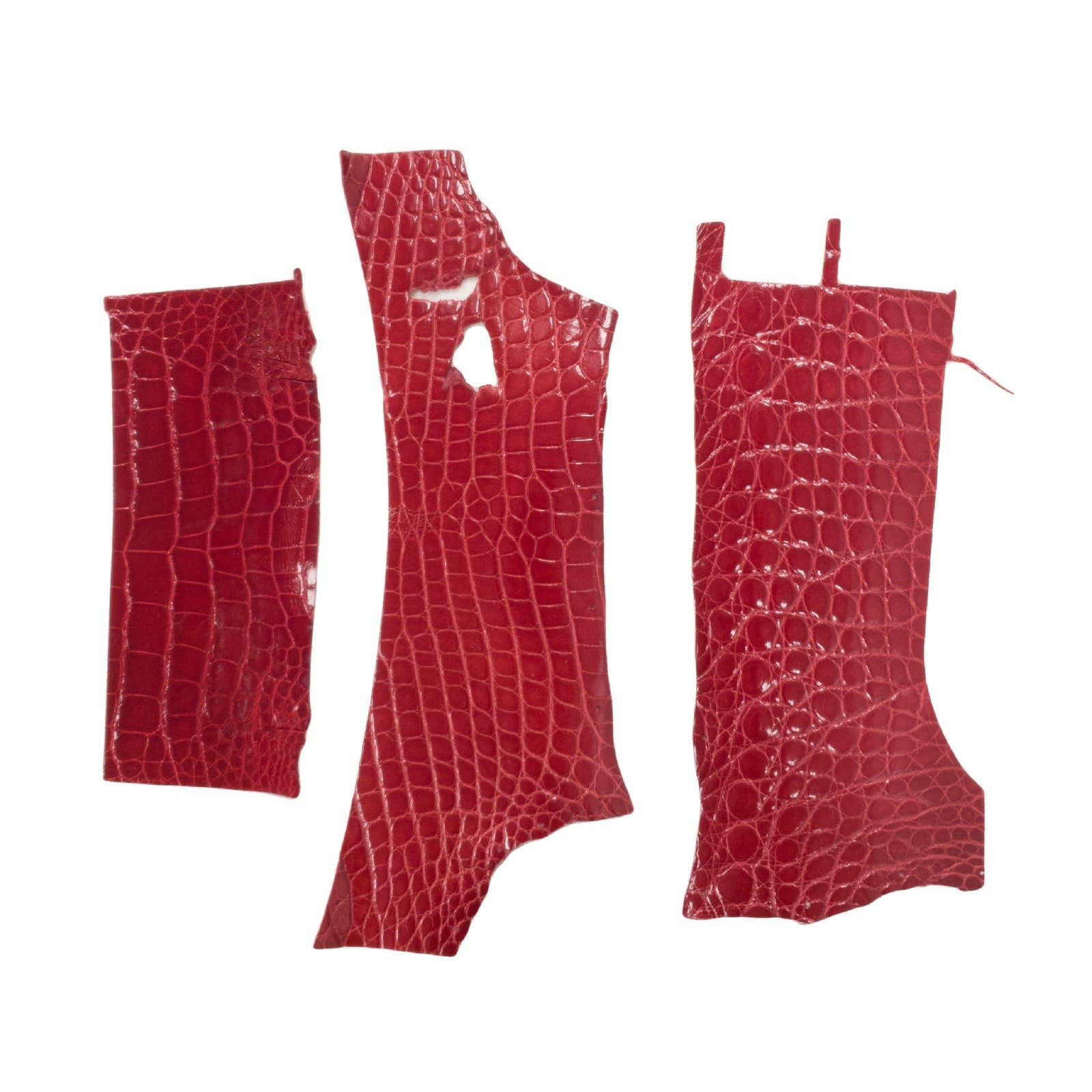 Alligator Skin Pieces Various Colors Genuine Hide, Red / Piece 2 | The Leather Guy