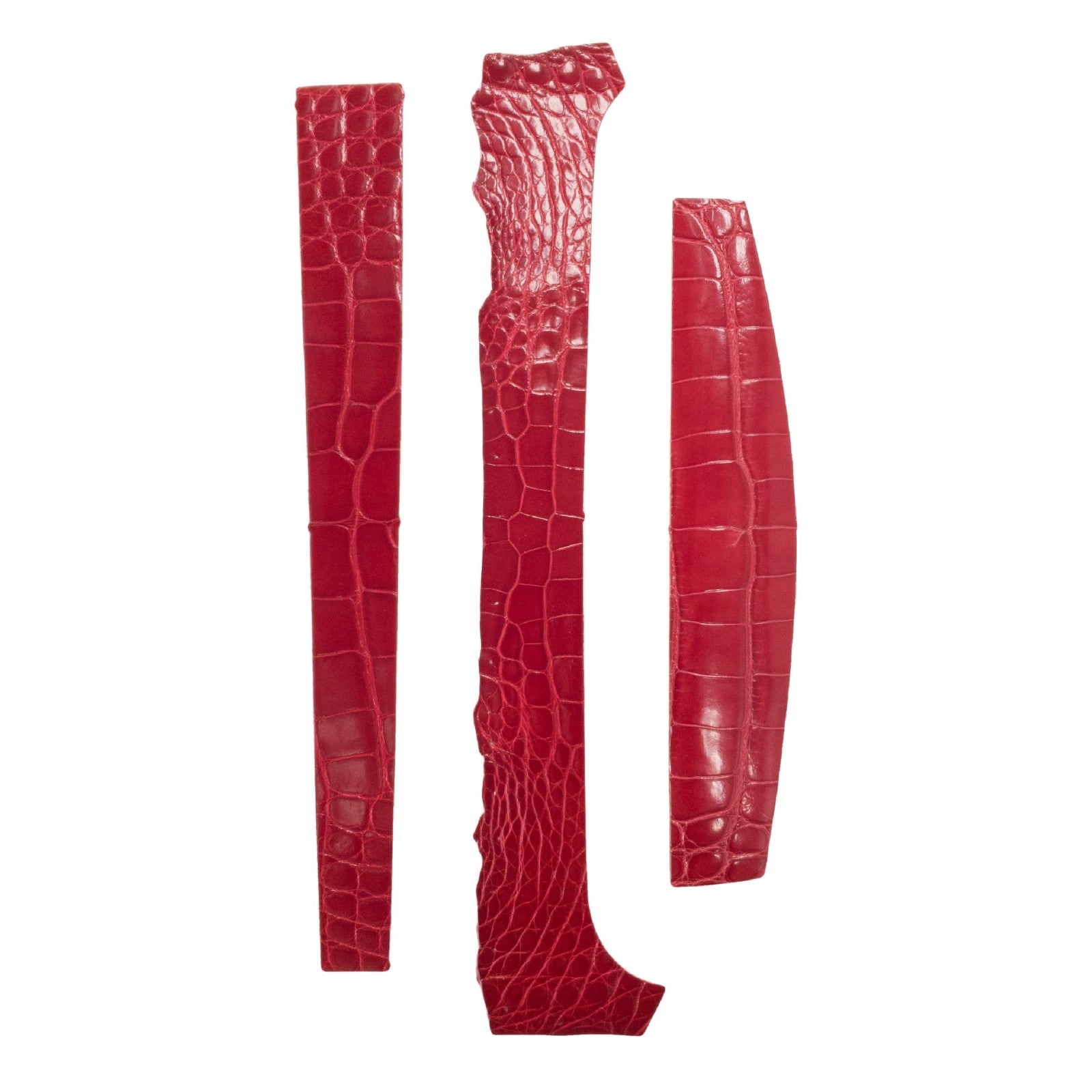 Alligator Skin Pieces Various Colors Genuine Hide, Red / Strap 1 | The Leather Guy