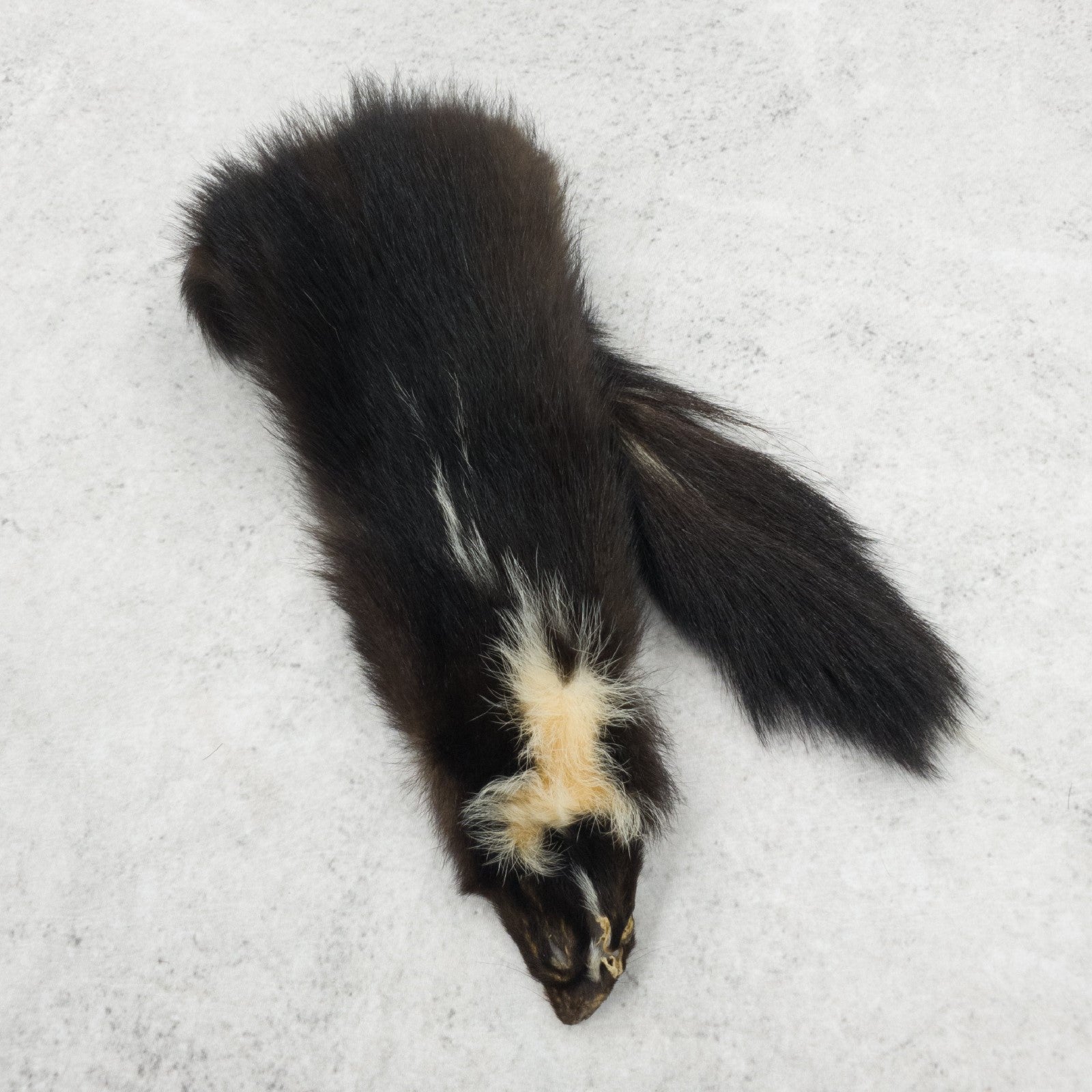 Skunk Fur Pelts,  | The Leather Guy