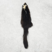 Skunk Fur Pelts, Small | The Leather Guy