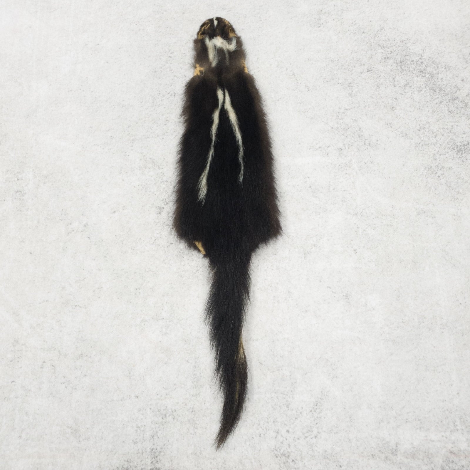Skunk Fur Pelts, Medium | The Leather Guy