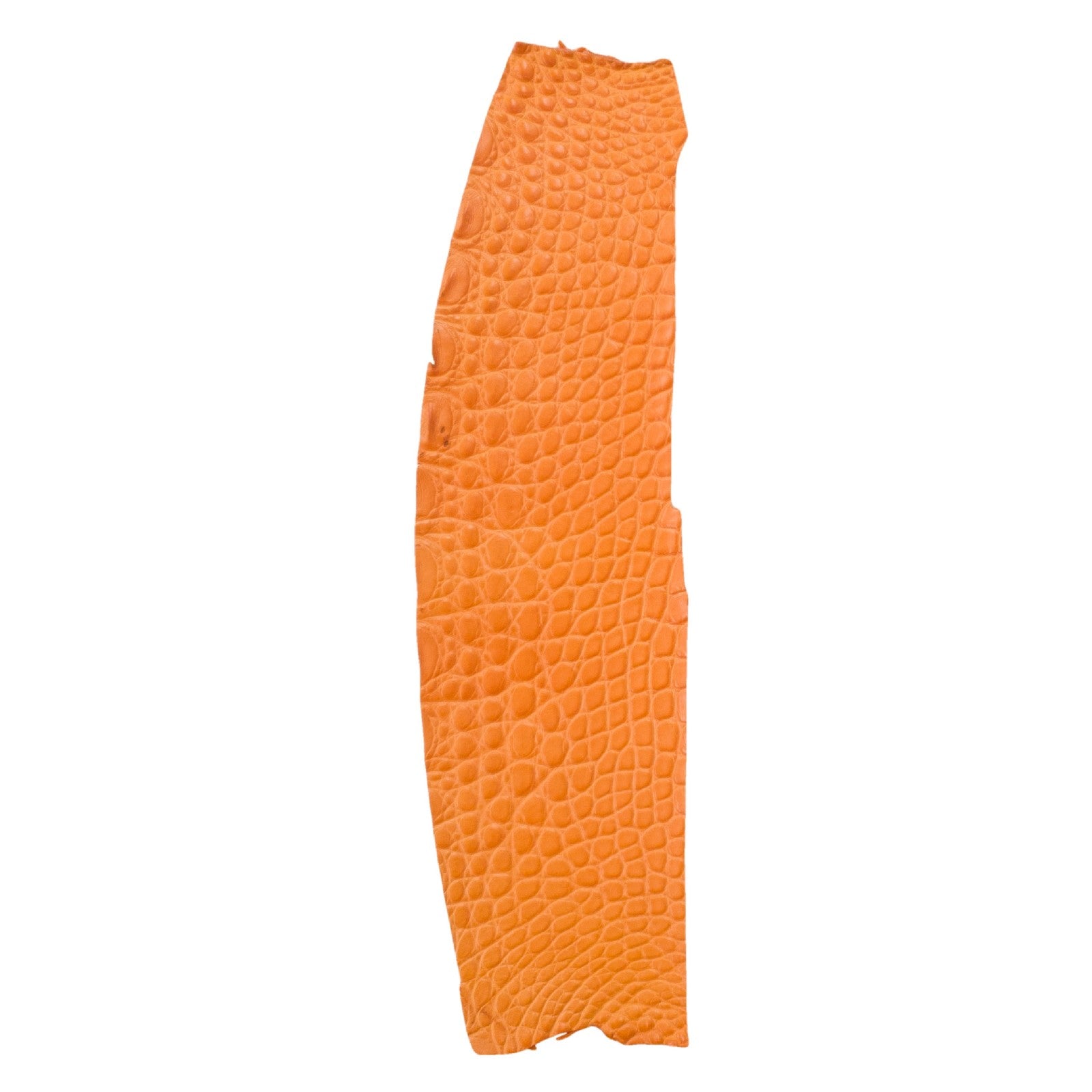 Alligator Skin Flank Various Colors Genuine Hide, Tangerine Orange | The Leather Guy