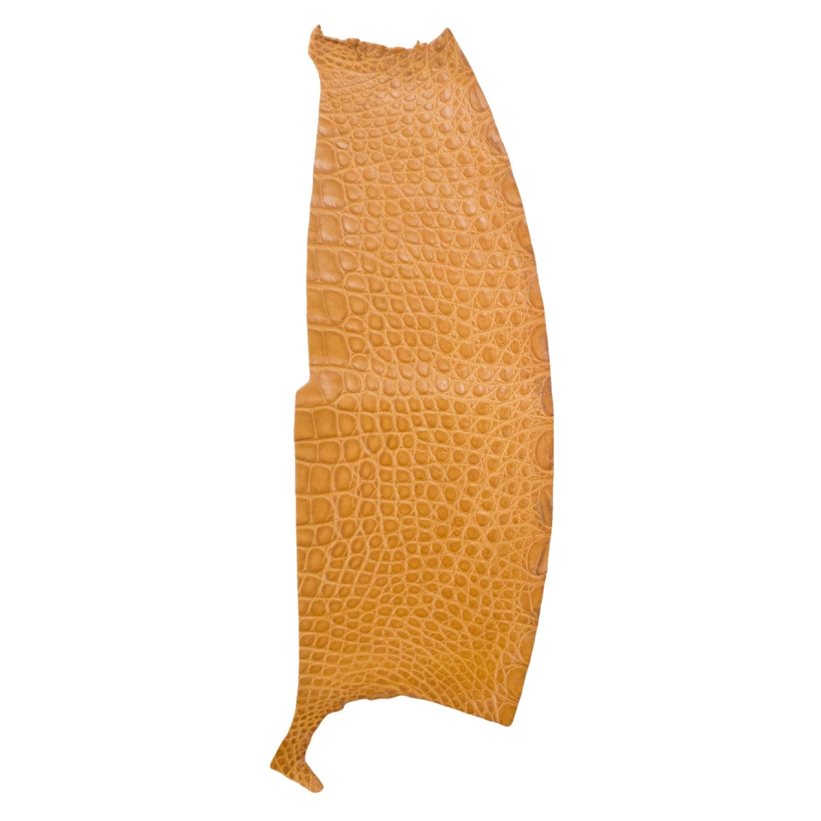 Alligator Skin Flank Various Colors Genuine Hide, Tasteful Tan | The Leather Guy