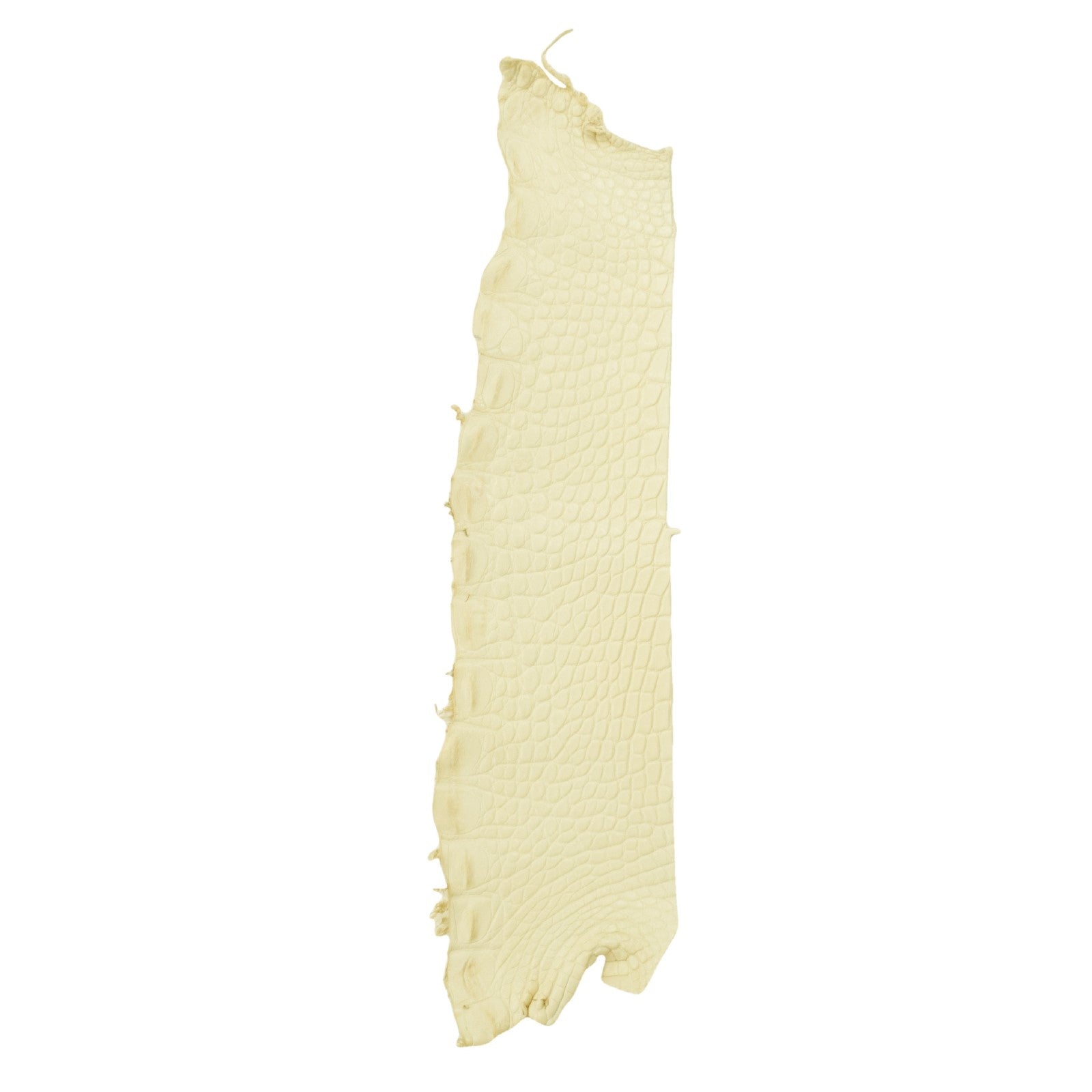 Alligator Skin Flank Various Colors Genuine Hide, Classic Cream | The Leather Guy